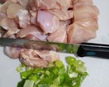 Foto langkah ke 1 dari resep Chicken Tsukune Tapioka.