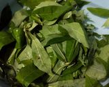 Foto langkah ke 1 dari resep Bobor Daun Singkong dan Tahu.
