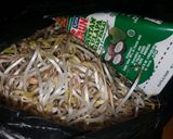 Foto langkah ke 5 dari resep Sayur lodeh ikan pe / ikan pari.cecek&tempe.