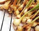 Une image de l'étape 1 de Oignons nouveaux du jardin au vinaigre.