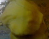 Foto langkah ke 1 dari resep Pisang molen dadakan.