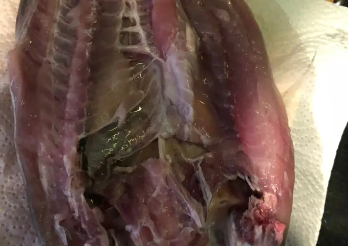 Langkah-langkah untuk membuat Cara bikin Ikan bakar ala rumahan