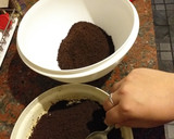 Foto del paso 2 de la receta: Torta helada de OREO ❄
