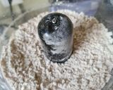 Foto del paso 2 de la receta: Galletas de parmesano y chipotle para el aperitivo