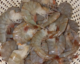 Foto langkah ke 1 dari resep 595. Udang Saus Padang.