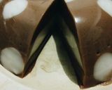 Foto langkah ke 11 dari resep Puding Polkadot Milo #bikinbareng.