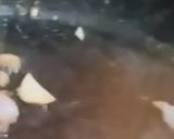 Foto langkah ke 1 dari resep Sop kepala dan tulang ikan tuna.