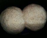 Foto del paso 5 de la receta: Pan de jengibre y cerveza para panificadora