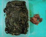 Foto langkah ke 2 dari resep Gulai Daun Singkong.
