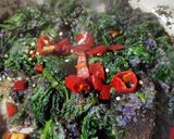 Foto del passaggio 5 della ricetta Spinaci filanti