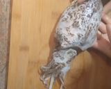 Foto del paso 1 de la receta: Sepia en salsa 🦑