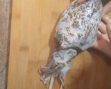 Foto del paso 1 de la receta: Sepia en salsa 🦑