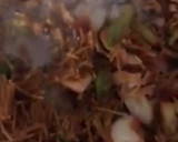 Foto del paso 11 de la receta: Fideuà de potón, gambones, ajos tiernos y dátiles medjol