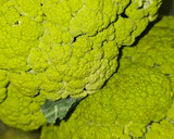 Foto del paso 1 de la receta: Coliflor con alioli