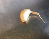 Une image de l'étape 1 de Sauce à la prune (pour volailles et gibiers).