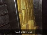 شابورة الملكات الذهبية