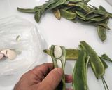 Foto del paso 1 de la receta: Olleta 🍲