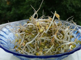 ચટપટા મગ(chatpata moong recipe in gujarati)