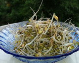 ચટપટા મગ(chatpata moong recipe in gujarati) રેસીપી સ્ટેપ3ફોટો