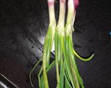 લીલી ડુંગળી નું સલાડ(Spring onion salad recipe in Gujarati) રેસીપી સ્ટેપ1ફોટો