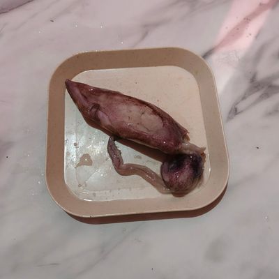 Langkah 3