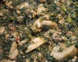 A picture of step 4 of Creamy Kale and Chicken.
