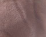 A picture of step 8 of Choco vanilla pinwheel.