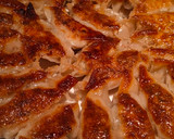Foto langkah ke 5 dari resep Chicken and Veggie GYOZA.
