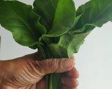 A picture of step 1 of Sarson ke saag Ka Thepla.