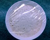 Foto del paso 2 de la receta: Cómo preparar stolen - Pan dulce alemán