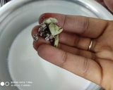 தேங்காய் பால் ரெசிபி ஸ்டேப் 2 புகைப்படம்