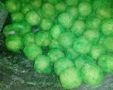 Foto langkah ke 4 dari resep Onde Singkong aka Getas Singkong #pr_jajanandaerah.