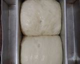 Foto langkah ke 9 dari resep (Sourdough Discard) Roti Tawar kental manis.