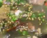 A picture of step 2 of Green Masala Pulao.