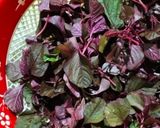 লাল শাক ভাজা (Laal shak bhaja recipe in Bengali) রেসিপির ধাপ 1 ছবি