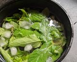 A picture of step 1 of Refreshing Mint Sorbet Lemonade.