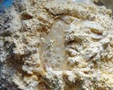 A picture of step 3 of Missi Roti.