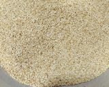 તલ ની ચીકી (Til Chikki Recipe In Gujarati) રેસીપી સ્ટેપ1ફોટો