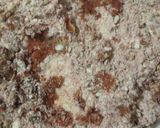 A picture of step 2 of Tawa fish.