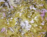 Foto del paso 6 de la receta Mollejas de pollo en salsa blanca ⚪