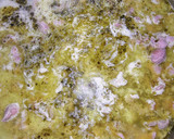 Foto del paso 6 de la receta: Mollejas de pollo en salsa blanca ⚪