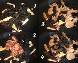 三杯皮蛋白肉米血糕的食譜步驟3照片
