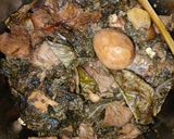 Foto langkah ke 5 dari resep Gudeg Daun Singkong Jogja Tanpa Daun Jati.