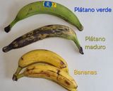 Foto del paso 1 de la receta: Tigrillo ecuatoriano