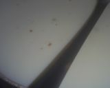 A picture of step 1 of Phool makhana ki kheer.