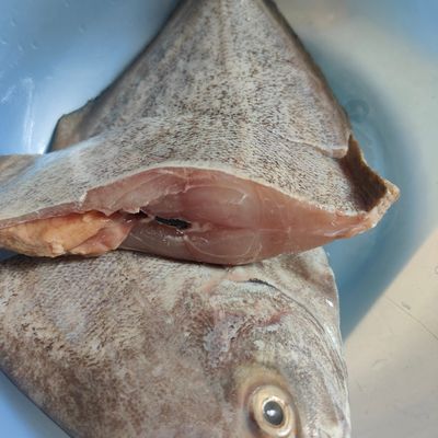Langkah 1