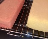Foto langkah ke 5 dari resep Checkerboard pink cake.
