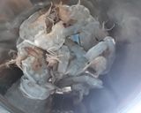 Foto langkah ke 2 dari resep Tumis Udang Sederhana.