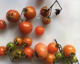 Foto del paso 4 de la receta: Focaccia de tomate cherry, olivas negras y romero
