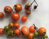 Foto del paso 4 de la receta: Focaccia de tomate cherry, olivas negras y romero
